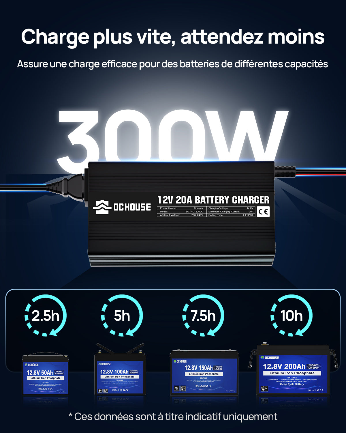 Chargeur de batterie au lithium 12V 20A AC à DC