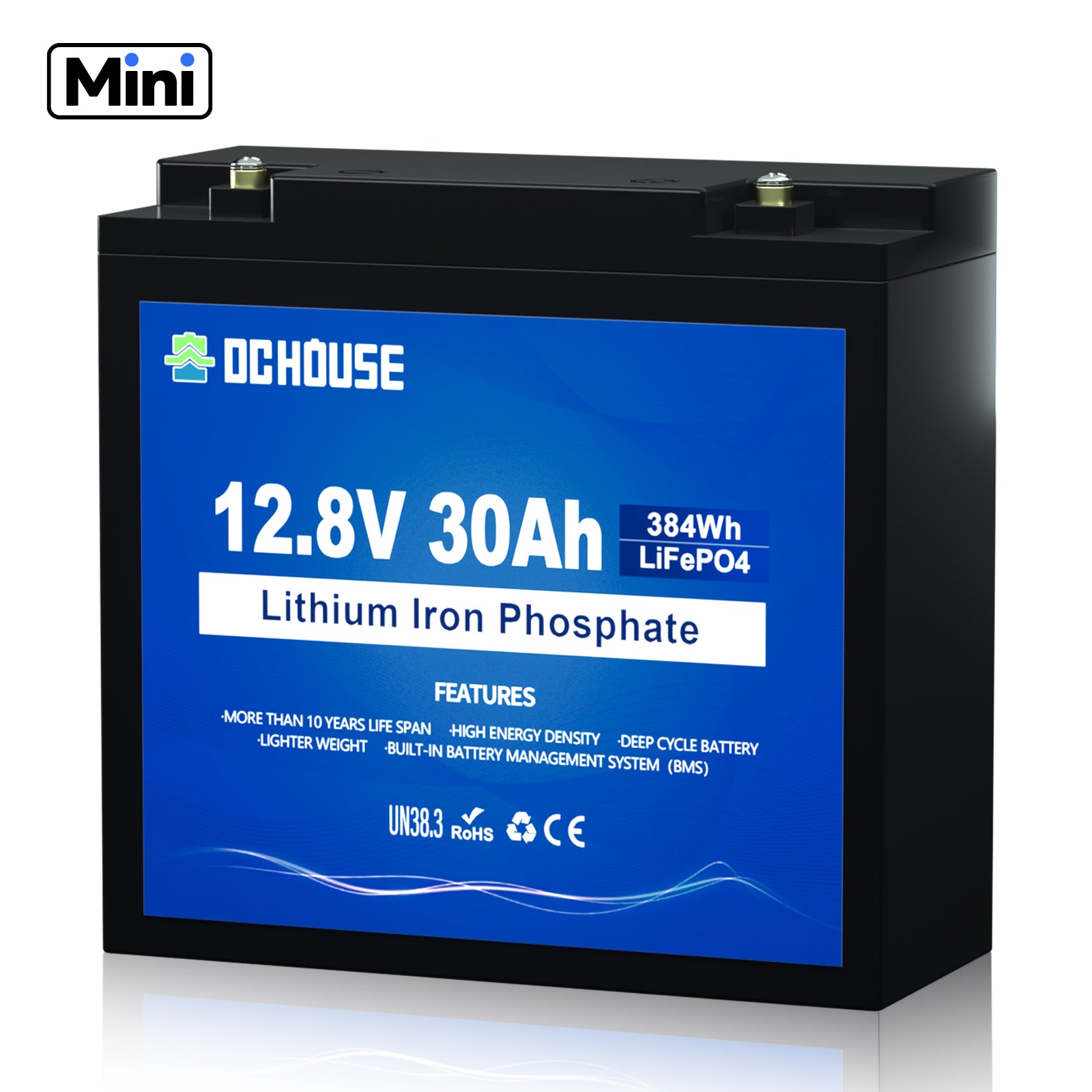 Eco-Worthy – Batterie lithium 12V 20Ah LiFePO4 rechargeable – Cycle de vie 3000+ – Protection BMS – Pour applications solaires et camping-car Eco-Worthy – Batterie lithium 12V 20Ah LiFePO4 rechargeable – Cycle de vie 3000+ – Protection BMS – Pour applications solaires et camping-car