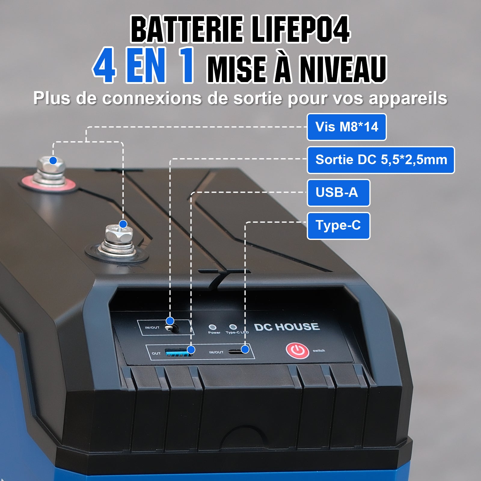 Batterie au lithium LiFePO4 portable 12V 100Ah, Ports DC et Type-C