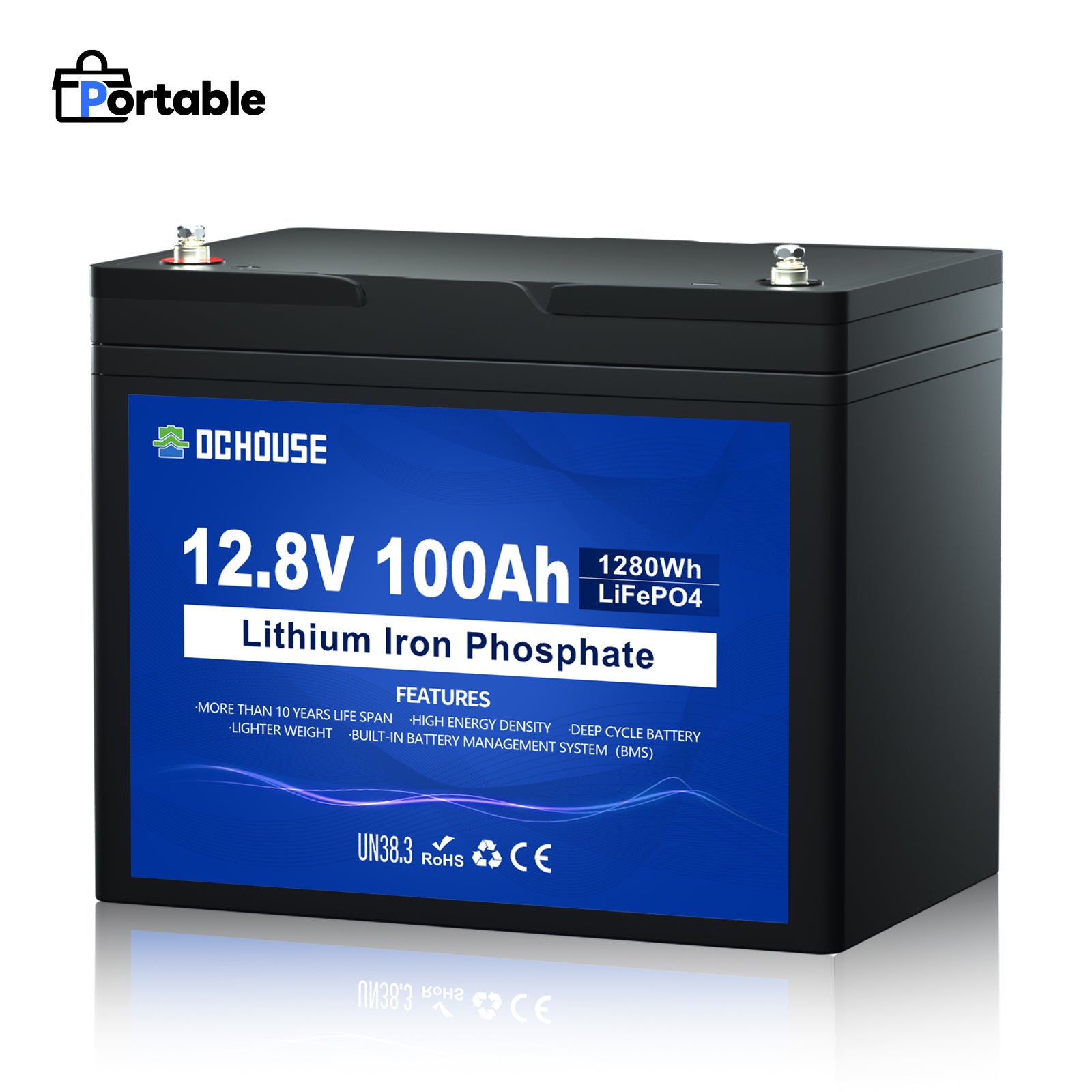 Batterie LiFePO4 12V 100Ah, BMS 100A intégré, jusqu'à 15000 cycles