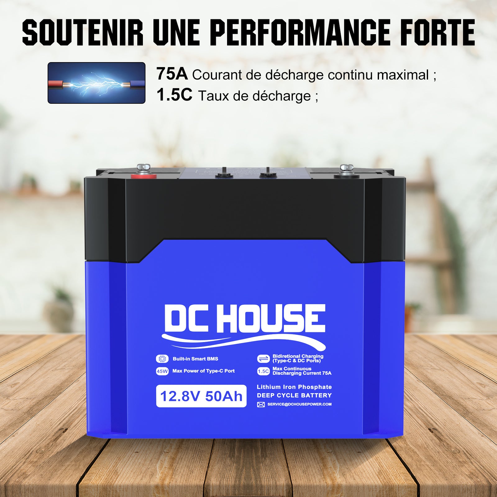 dchouse_batterie_lithium_portable_12V_50ah_2